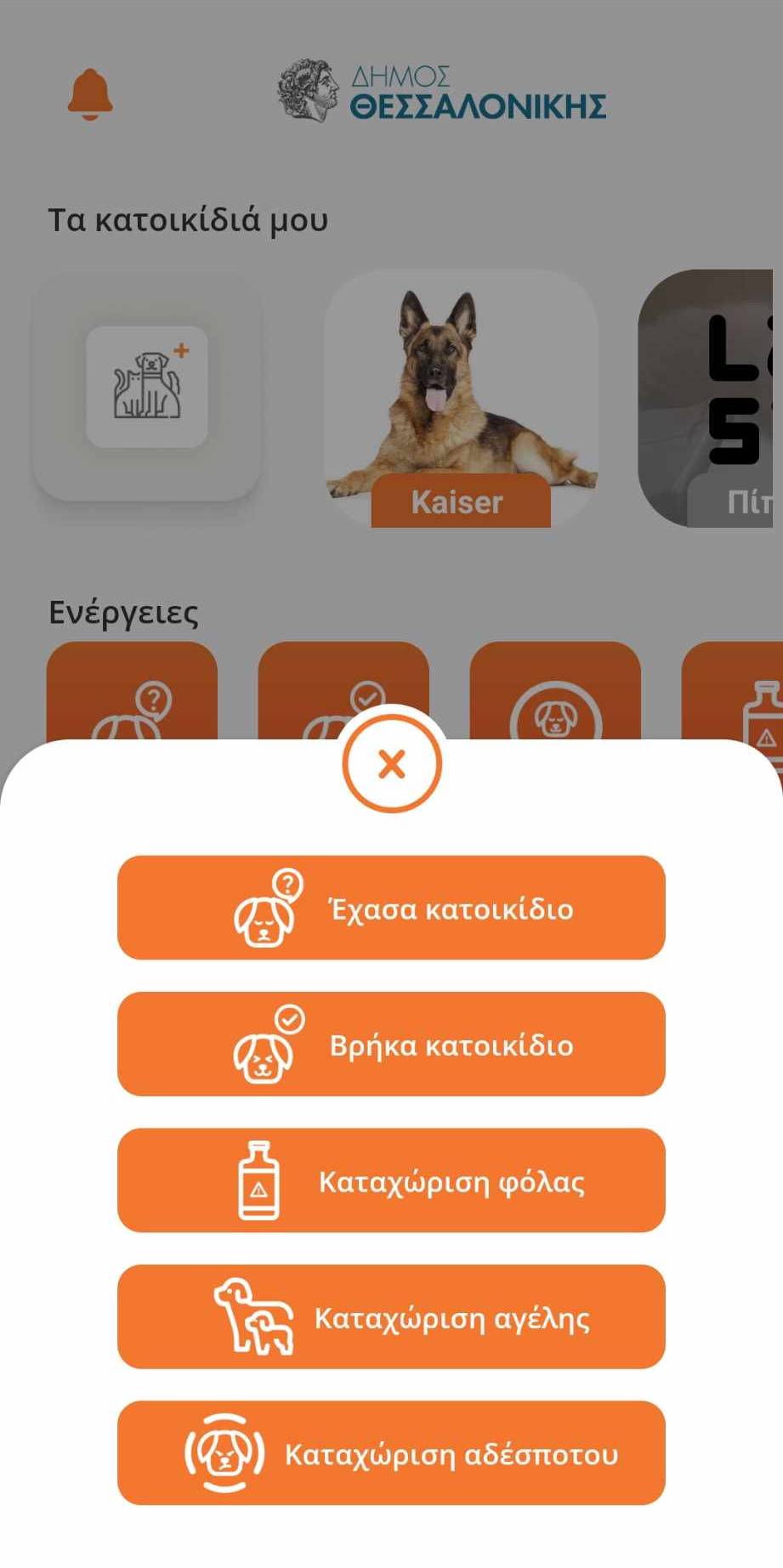 Screen